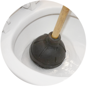 Common Toilet Bowl Problems